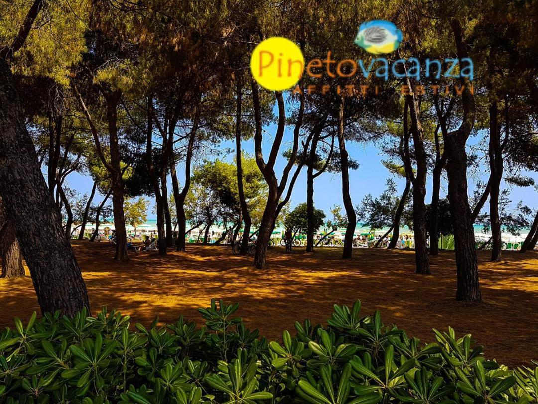 Myconos C2 - Pineto Vacanza Екстер'єр фото